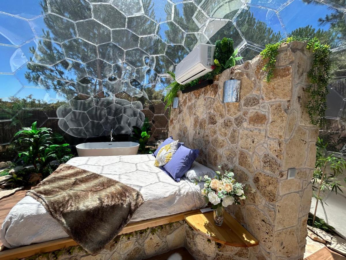 Skd Casa Ocre Suite Garnacha Ávila 외부 사진